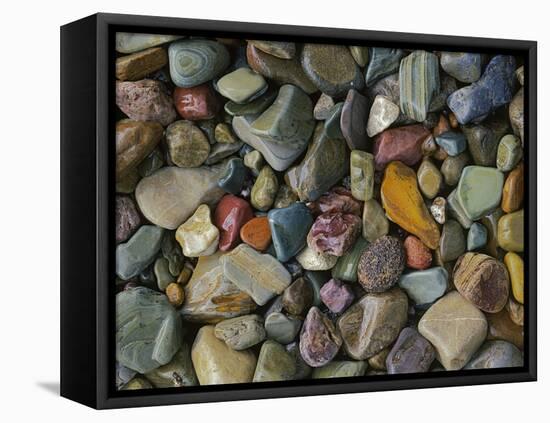 Stones Along St Mary Lake, Glacier National Park, Montana, USA-Charles Gurche-Framed Premier Image Canvas