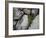 Stones and Vines-Nicole Katano-Framed Photo