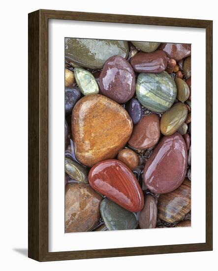 Stones, Clark Fork River, Lolo National Forest Montana, USA-Charles Gurche-Framed Photographic Print