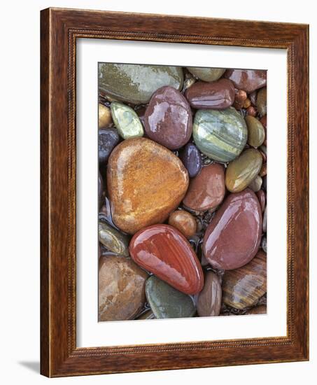 Stones, Clark Fork River, Lolo National Forest Montana, USA-Charles Gurche-Framed Photographic Print