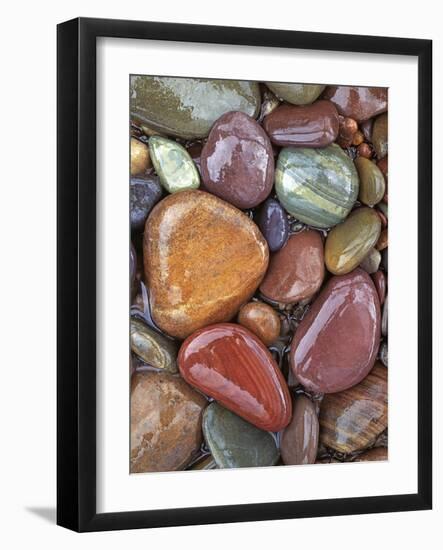 Stones, Clark Fork River, Lolo National Forest Montana, USA-Charles Gurche-Framed Photographic Print