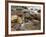 Stones in the Creek Below Baring Falls, Montana, USA-Jerry Ginsberg-Framed Photographic Print