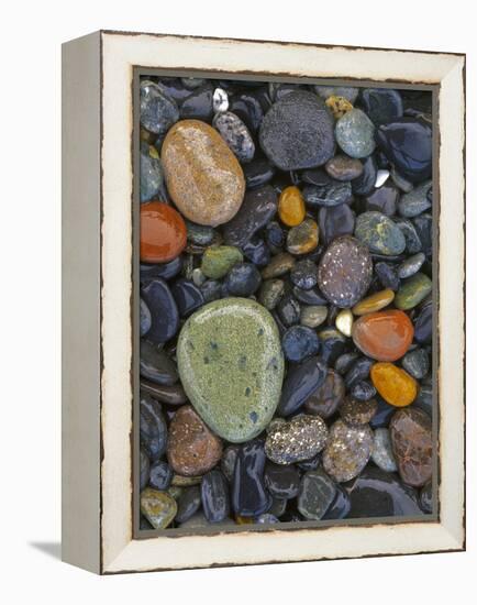 Stones, Lopez Island, Agate Beach County, Washington, USA-Charles Gurche-Framed Premier Image Canvas