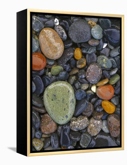 Stones, Lopez Island, Agate Beach County, Washington, USA-Charles Gurche-Framed Premier Image Canvas