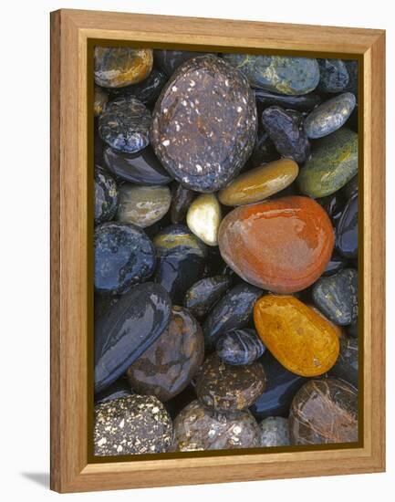 Stones, Lopez Island, Agate Beach County, Washington, USA-Charles Gurche-Framed Premier Image Canvas