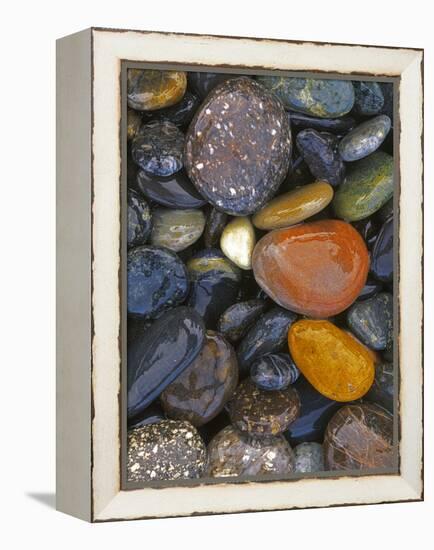 Stones, Lopez Island, Agate Beach County, Washington, USA-Charles Gurche-Framed Premier Image Canvas