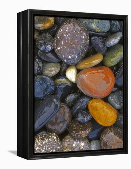 Stones, Lopez Island, Agate Beach County, Washington, USA-Charles Gurche-Framed Premier Image Canvas