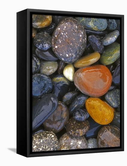 Stones, Lopez Island, Agate Beach County, Washington, USA-Charles Gurche-Framed Premier Image Canvas