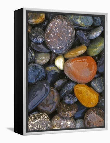 Stones, Lopez Island, Agate Beach County, Washington, USA-Charles Gurche-Framed Premier Image Canvas