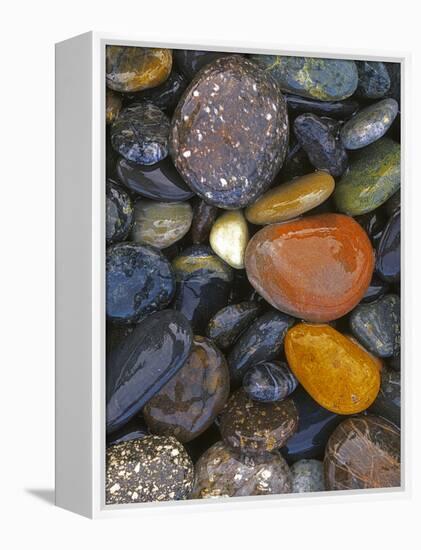Stones, Lopez Island, Agate Beach County, Washington, USA-Charles Gurche-Framed Premier Image Canvas