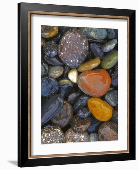 Stones, Lopez Island, Agate Beach County, Washington, USA-Charles Gurche-Framed Photographic Print