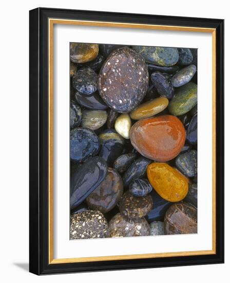 Stones, Lopez Island, Agate Beach County, Washington, USA-Charles Gurche-Framed Photographic Print