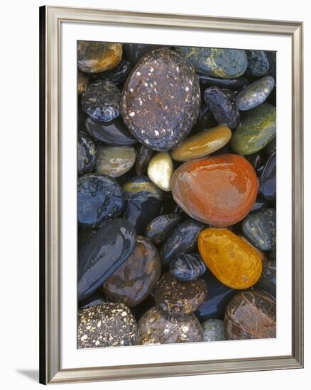 Stones, Lopez Island, Agate Beach County, Washington, USA-Charles Gurche-Framed Photographic Print