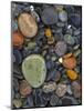 Stones, Lopez Island, Agate Beach County, Washington, USA-Charles Gurche-Mounted Photographic Print