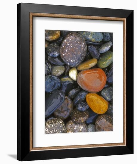 Stones, Lopez Island, Agate Beach County, Washington, USA-Charles Gurche-Framed Photographic Print