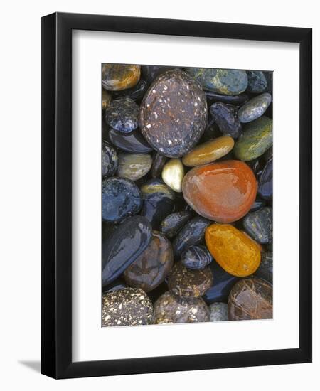 Stones, Lopez Island, Agate Beach County, Washington, USA-Charles Gurche-Framed Photographic Print