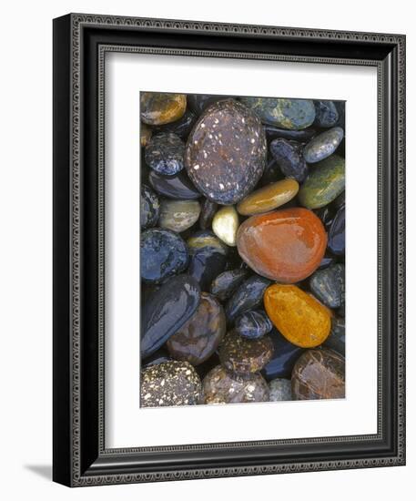 Stones, Lopez Island, Agate Beach County, Washington, USA-Charles Gurche-Framed Photographic Print