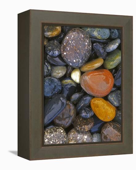 Stones, Lopez Island, Agate Beach County, Washington, USA-Charles Gurche-Framed Premier Image Canvas