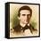 Stonewall Jackson, Confederate General-Science Source-Framed Premier Image Canvas