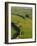 Stonewalls and Sheep, Near Ribblehead, Yorkshire, England, UK, Europe-Upperhall Ltd-Framed Photographic Print