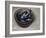 Stoneware Bowl, Full of Sprats, 2013-James Gillick-Framed Giclee Print