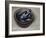 Stoneware Bowl, Full of Sprats, 2013-James Gillick-Framed Giclee Print