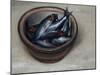 Stoneware Bowl, Full of Sprats, 2013-James Gillick-Mounted Giclee Print