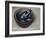 Stoneware Bowl, Full of Sprats, 2013-James Gillick-Framed Giclee Print