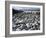 Stony Beach on Knoydart Peninsula, Western Scotland-Pete Cairns-Framed Photographic Print