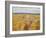 Stony Beach, Sandwich Bay, 2013 (Oil on Canvas)-Peter Breeden-Framed Giclee Print