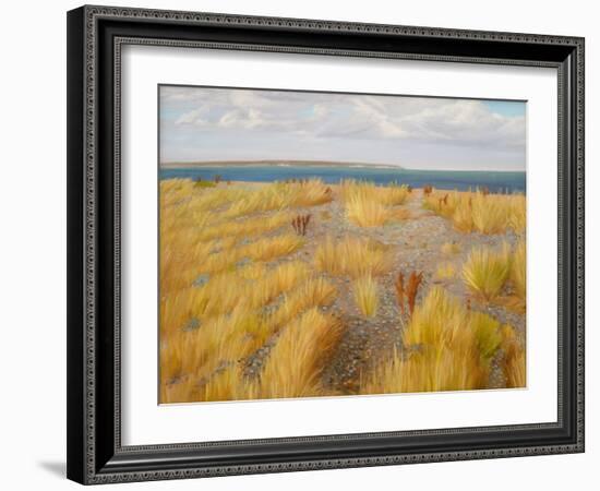 Stony Beach, Sandwich Bay, 2013 (Oil on Canvas)-Peter Breeden-Framed Giclee Print