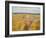 Stony Beach, Sandwich Bay, 2013 (Oil on Canvas)-Peter Breeden-Framed Giclee Print