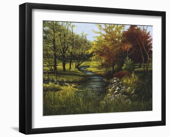 Stony Creek-Lene Alston Casey-Framed Art Print