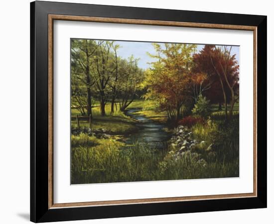 Stony Creek-Lene Alston Casey-Framed Art Print