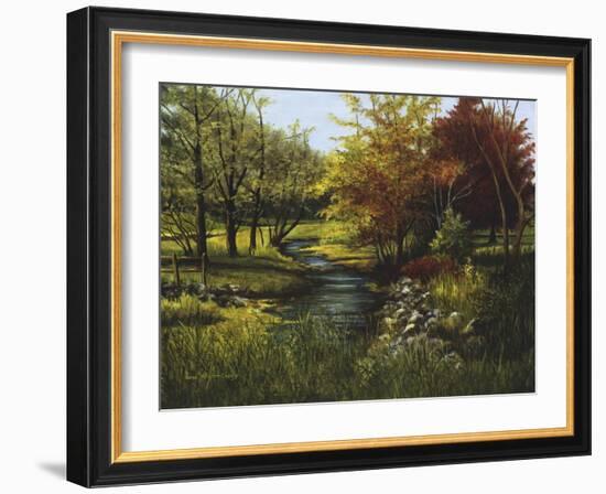 Stony Creek-Lene Alston Casey-Framed Art Print