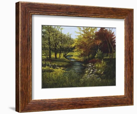 Stony Creek-Lene Alston Casey-Framed Art Print