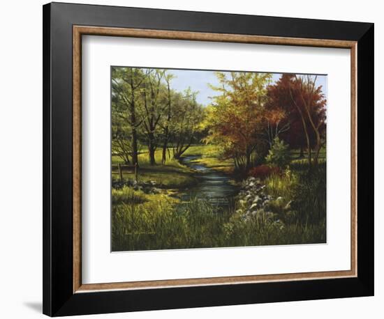 Stony Creek-Lene Alston Casey-Framed Art Print