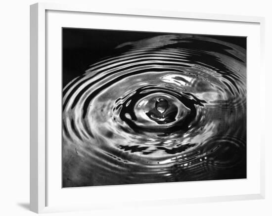 Stop Action Photograph of Drop of Water as It Falls and Finally Splashes-Gjon Mili-Framed Photographic Print