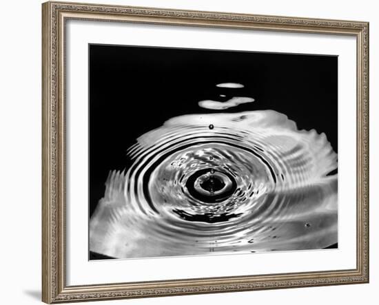 Stop-Action Photograph of Drop of Water as it Falls and Finally Splashes-Gjon Mili-Framed Photographic Print