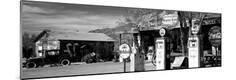 Photographic Print