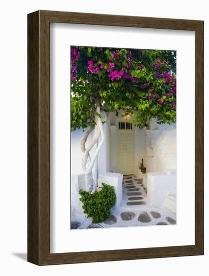 Storefront with Colorful Bougainvillea-Darrell Gulin-Framed Photographic Print