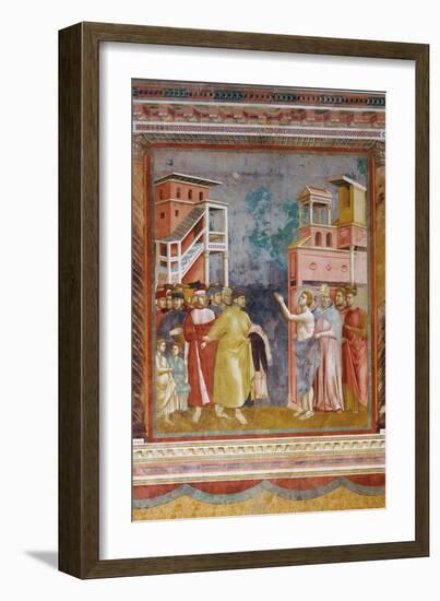 Stories of St Francis St. Francis Renounces His Fathers Goods and Earthly Wealth-Giotto di Bondone-Framed Giclee Print