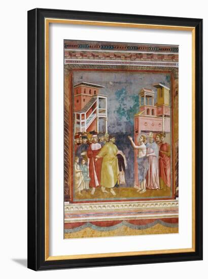 Stories of St Francis St. Francis Renounces His Fathers Goods and Earthly Wealth-Giotto di Bondone-Framed Giclee Print