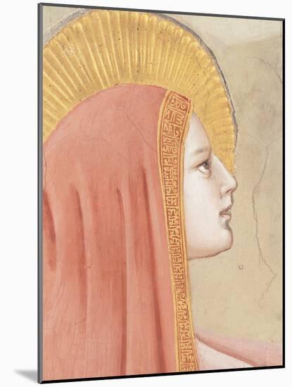 Stories of the Passion of Christ the Resurrection-Giotto di Bondone-Mounted Giclee Print