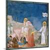 Stories of the Passion of Christ the Resurrection-Giotto di Bondone-Mounted Giclee Print