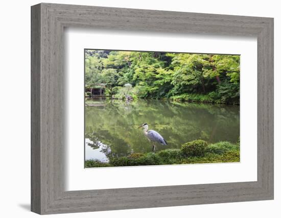 Stork at Hisagoike Pond in Summer, Kenrokuen, One of Japan's Three Most Beautiful Landscape Gardens-Eleanor Scriven-Framed Photographic Print