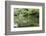 Stork at Hisagoike Pond in Summer, Kenrokuen, One of Japan's Three Most Beautiful Landscape Gardens-Eleanor Scriven-Framed Photographic Print