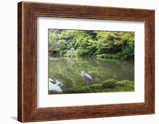 Stork at Hisagoike Pond in Summer, Kenrokuen, One of Japan's Three Most Beautiful Landscape Gardens-Eleanor Scriven-Framed Photographic Print