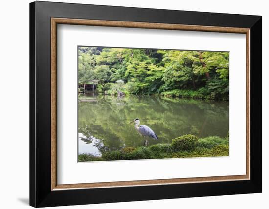 Stork at Hisagoike Pond in Summer, Kenrokuen, One of Japan's Three Most Beautiful Landscape Gardens-Eleanor Scriven-Framed Photographic Print