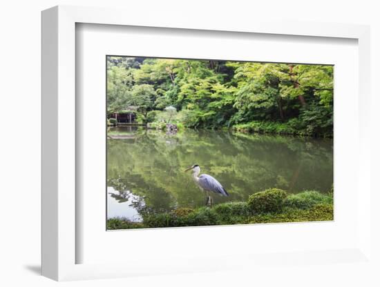 Stork at Hisagoike Pond in Summer, Kenrokuen, One of Japan's Three Most Beautiful Landscape Gardens-Eleanor Scriven-Framed Photographic Print